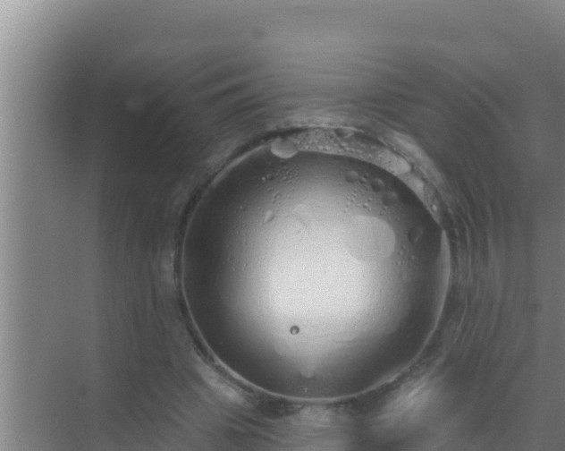 X0000072990441200607290018