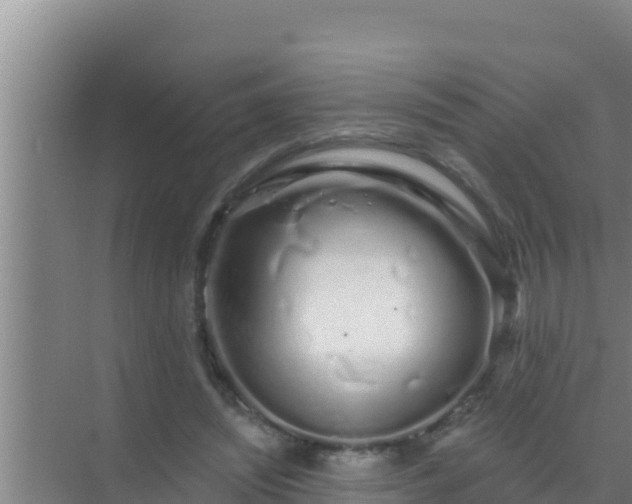 X0000072990444200607290018