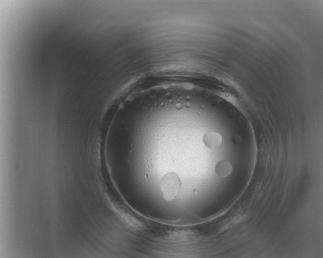 X0000072990446200607290018