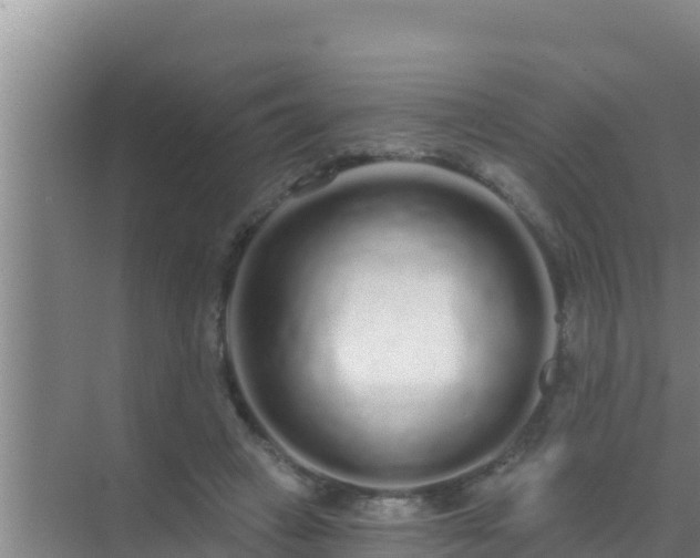 X0000072990449200607290018