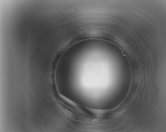 X0000072990450200607290018