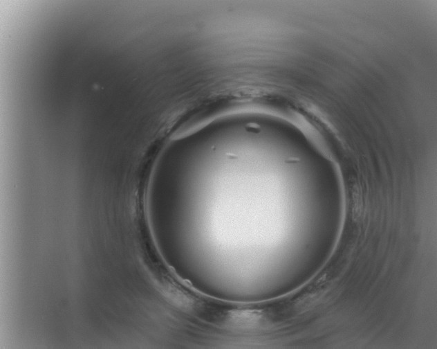 X0000072990451200607290018