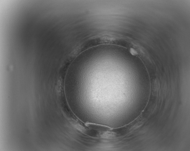 X0000072990463200607290018