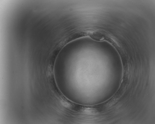 X0000072990467200607290018