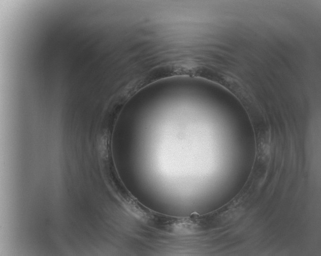 X0000072990468200607290018