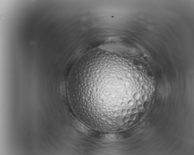 X0000072990473200607290018