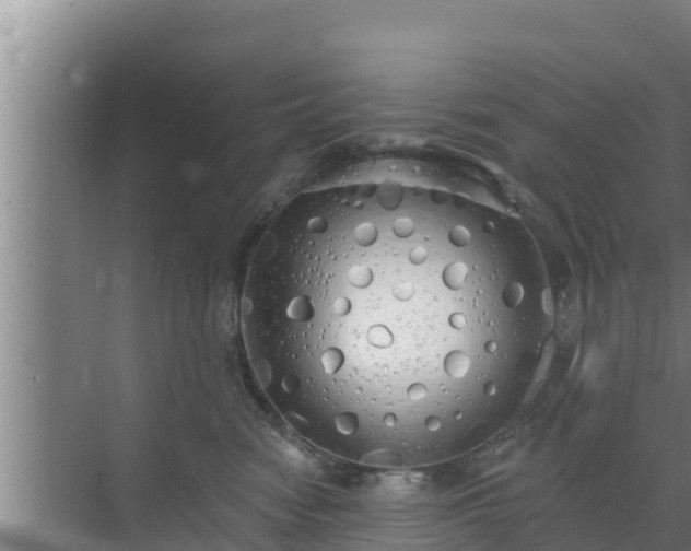 X0000072990474200607290018