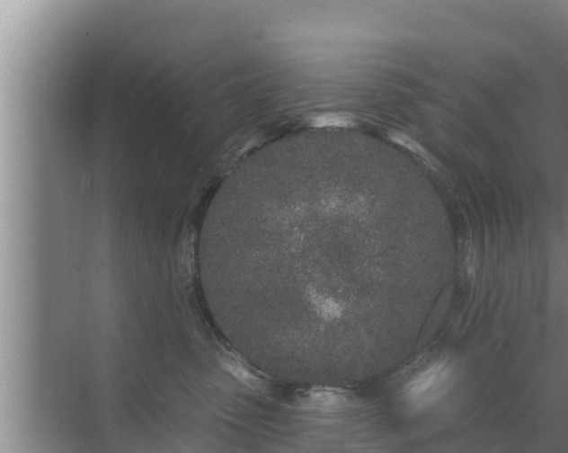 X0000072990475200607290018