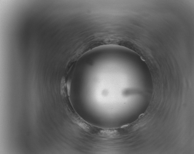 X0000072990480200607290018