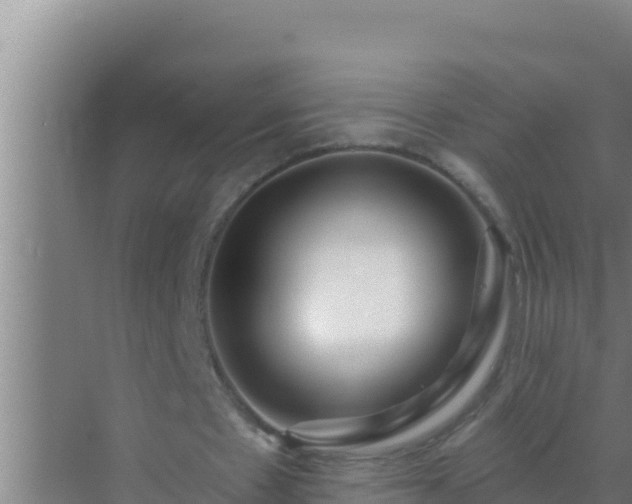 X0000072990481200607290018