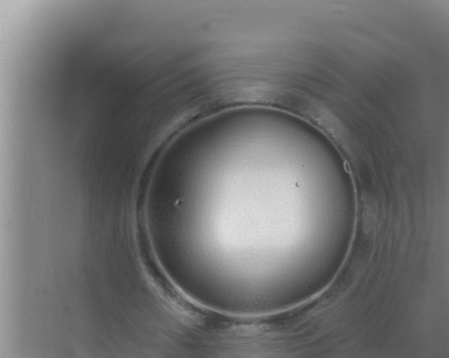 X0000072990482200607290018