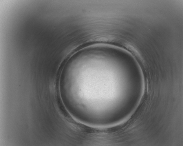 X0000072990483200607290018