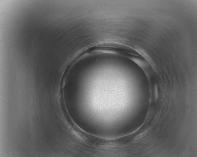 X0000072990485200607290017