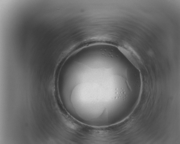 X0000072990486200607290017