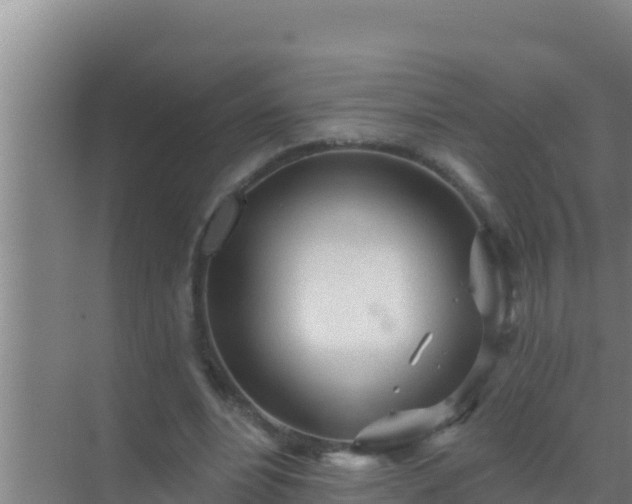 X0000072990488200607290017