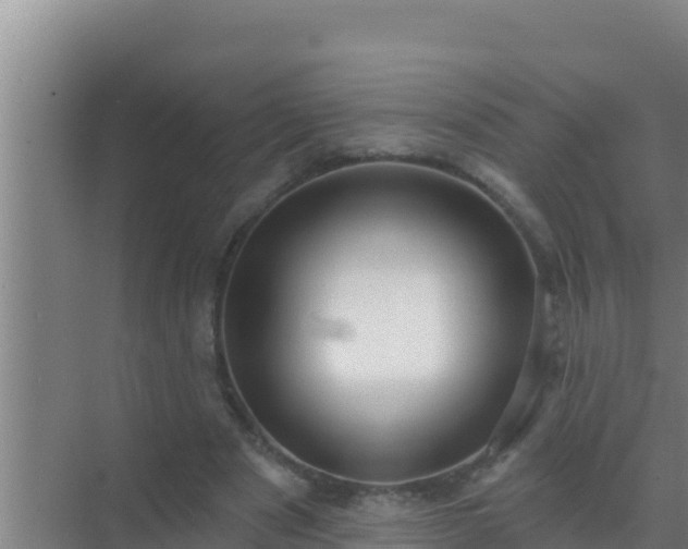 X0000072990489200607290017