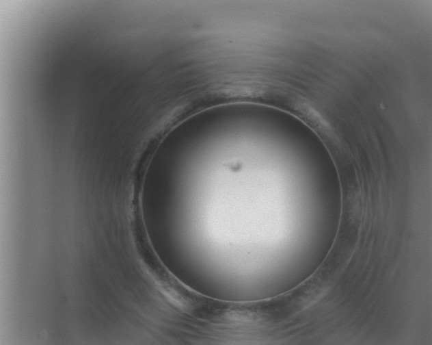 X0000072990490200607290017