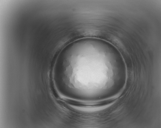 X0000072990491200607290017