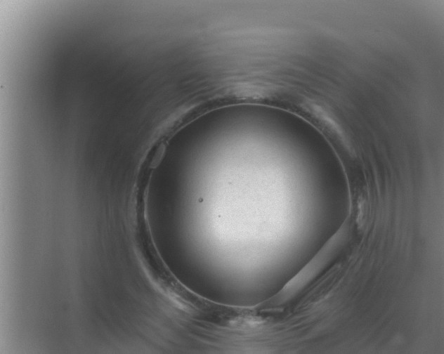 X0000072990492200607290017