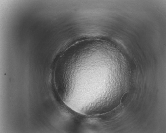 X0000072990495200607290017