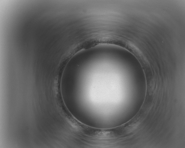 X0000072990497200607290017