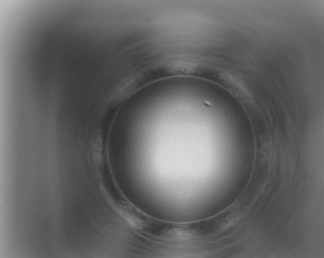 X0000072990498200607290017