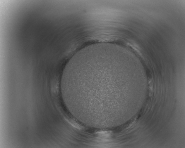 X0000072990499200607290017