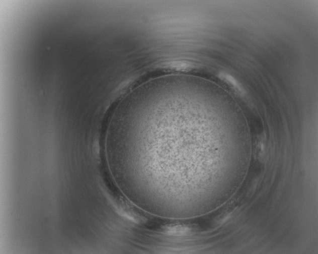 X0000072990500200607290017