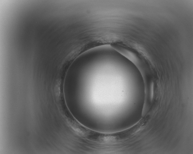 X0000072990501200607290017