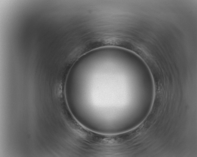 X0000072990502200607290017