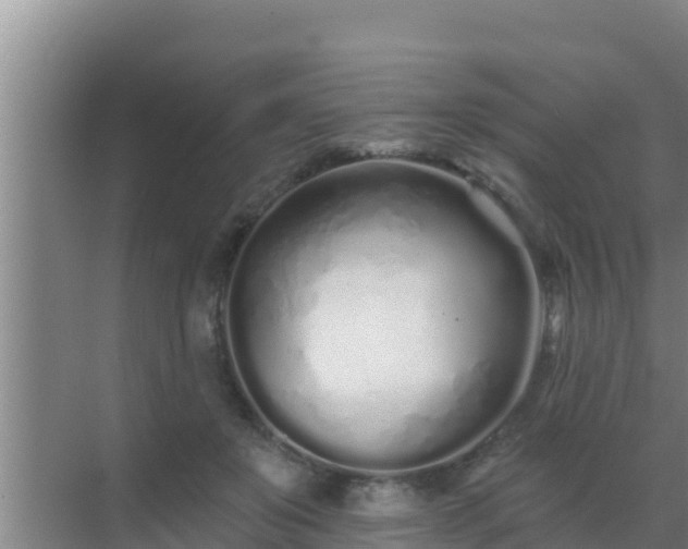 X0000072990503200607290017