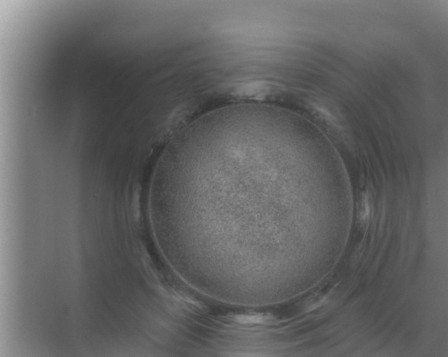 X0000072990504200607290017