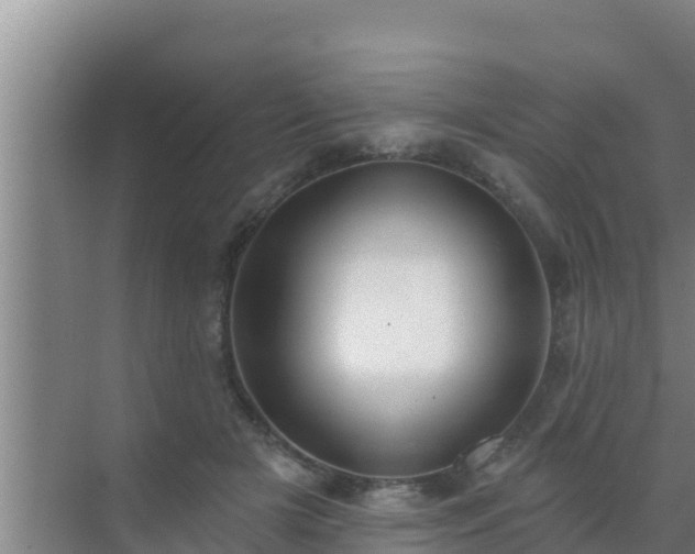 X0000072990505200607290017