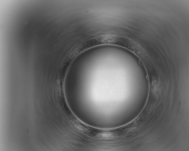 X0000072990506200607290017