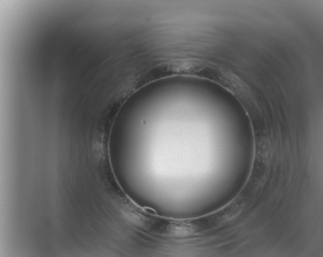 X0000072990510200607290017