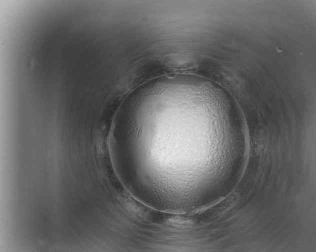 X0000072990515200607290017