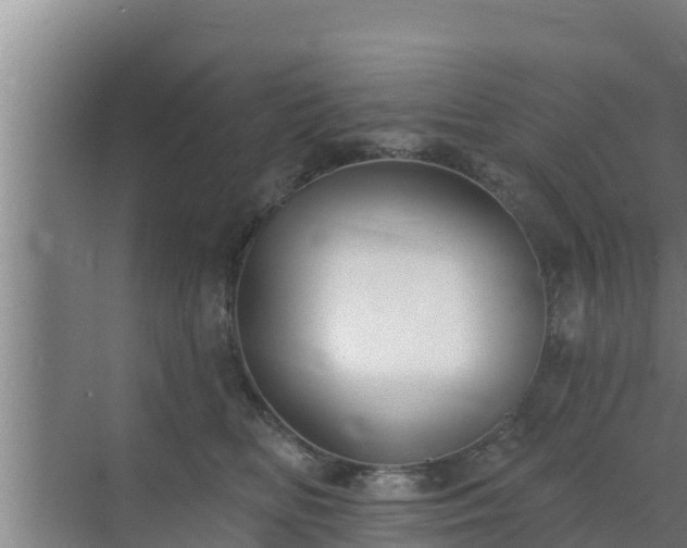 X0000072990518200607290017