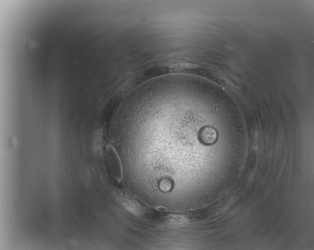 X0000072990519200607290017