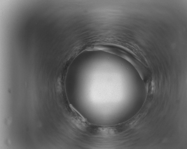 X0000072990520200607290017