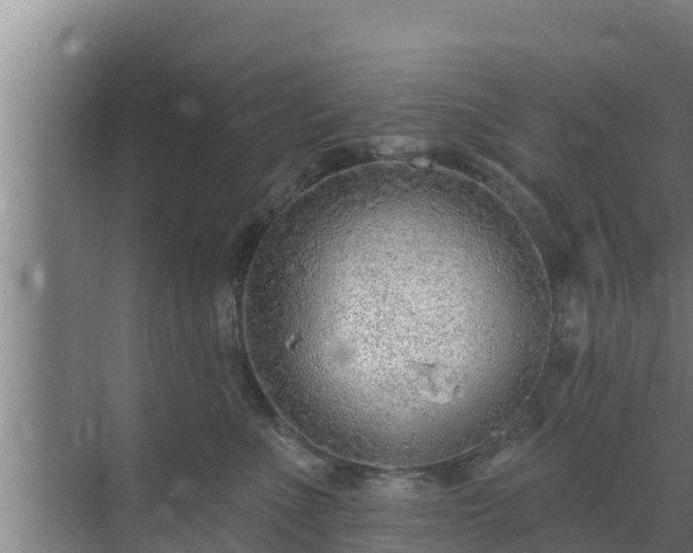 X0000072990523200607290017