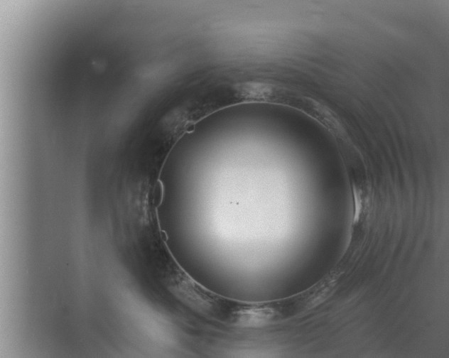 X0000072990525200607290017