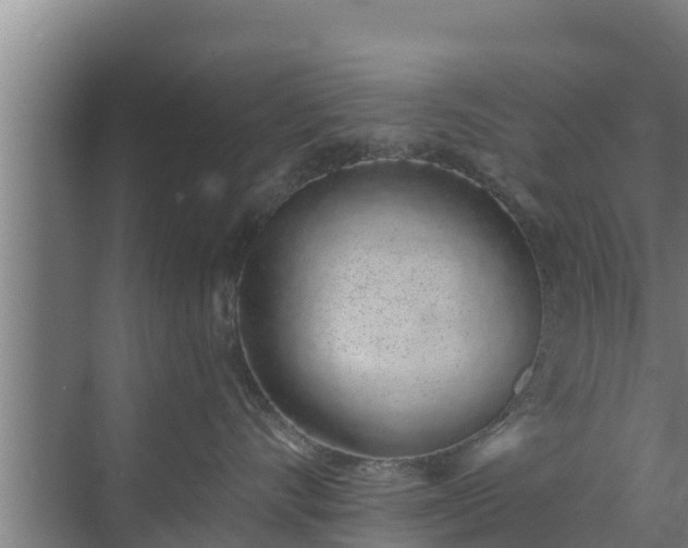 X0000072990528200607290017