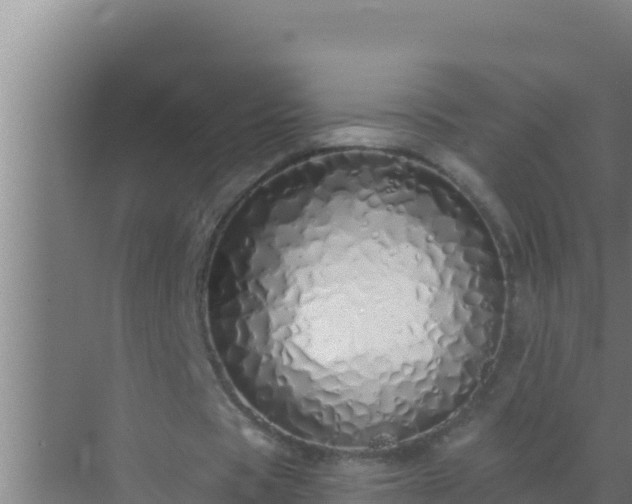 X0000072990529200607290016