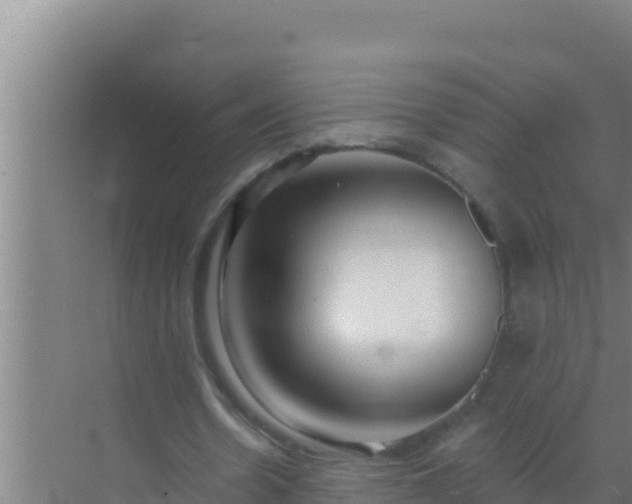 X0000072990530200607290016