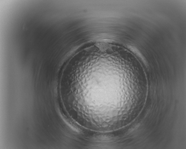 X0000072990533200607290016