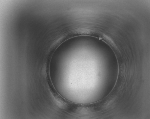 X0000072990538200607290016