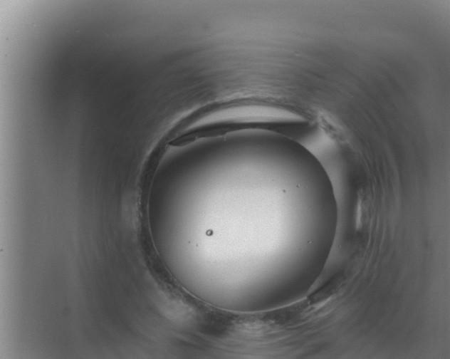 X0000072990540200607290016