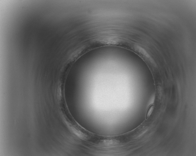 X0000072990541200607290016