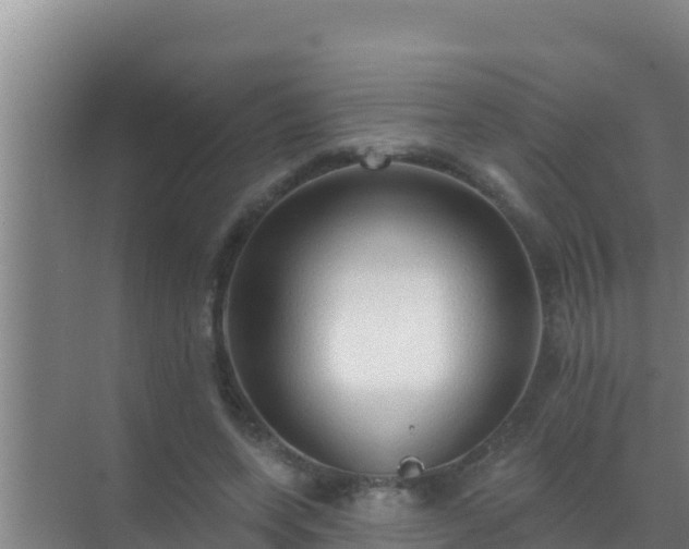 X0000072990543200607290016