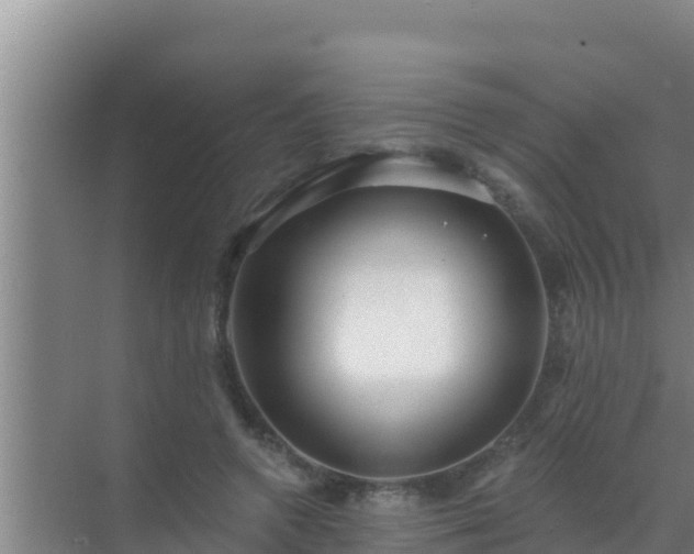 X0000072990546200607290016